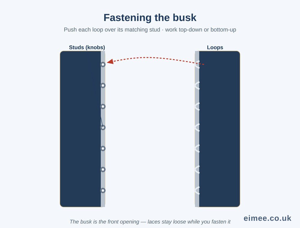 Front busk of a corset showing the studs and loops and how each loop fastens over its stud